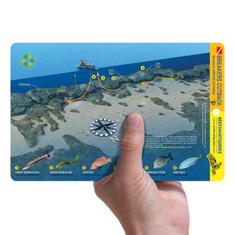 Breakers Cutback Reef Smart Guides