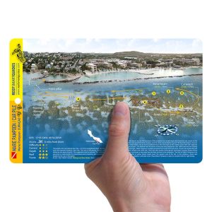Playa Marie Pampoen (Car Pile) - Reef Smart Guides