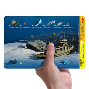 Wreck Alley - Reef Smart Guides