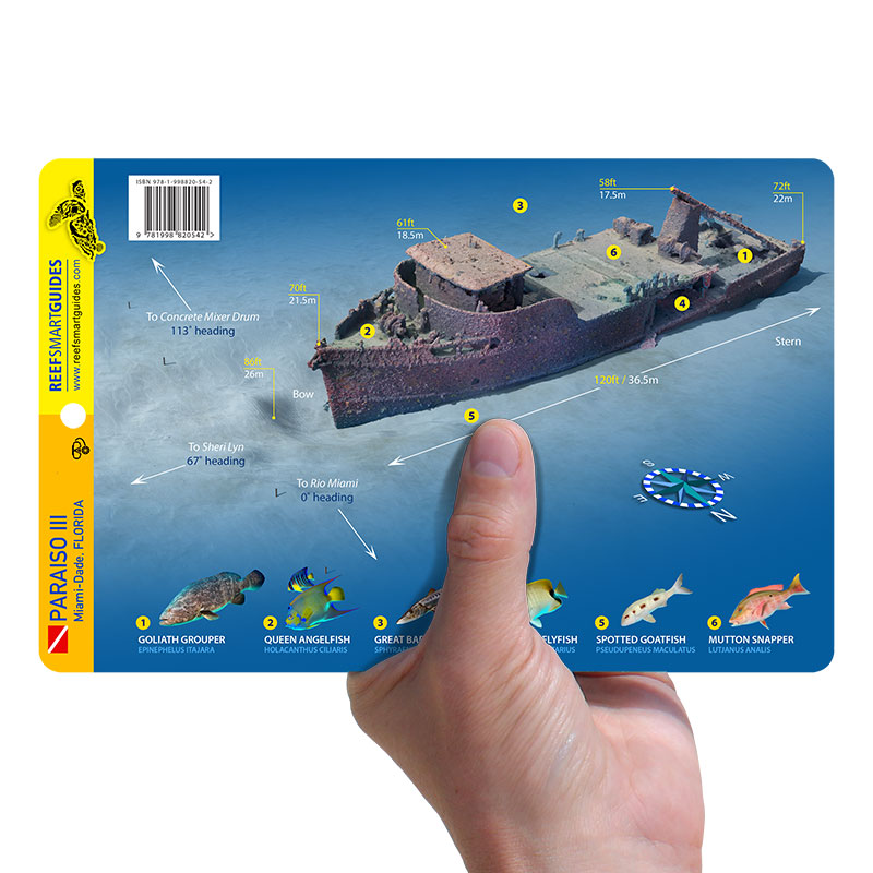 Paraiso III - Image 2