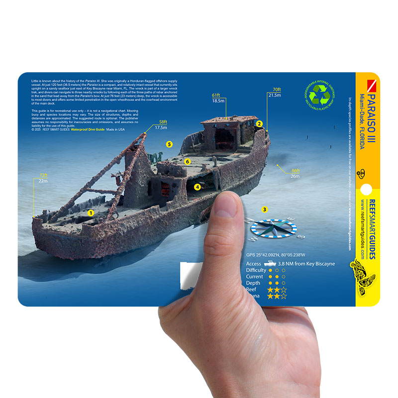 Paraiso III - Image 3