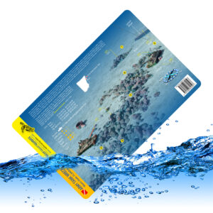 Army Tank Wreck Trek